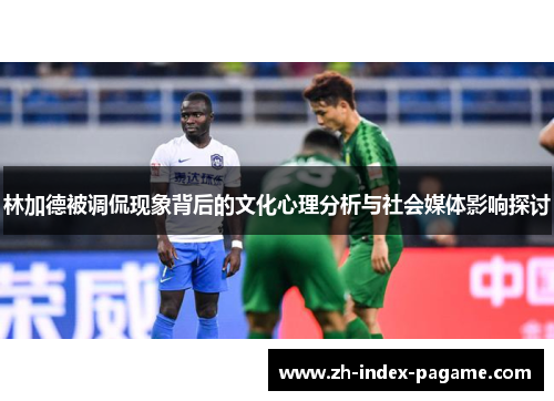 林加德被调侃现象背后的文化心理分析与社会媒体影响探讨