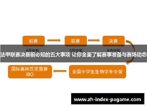 法甲联赛决赛前必知的五大事项 让你全面了解赛事准备与赛场动态 法甲联赛决赛前必知的五大事项 让你全面了解赛事准备与赛场动态