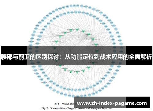 腰部与前卫的区别探讨：从功能定位到战术应用的全面解析