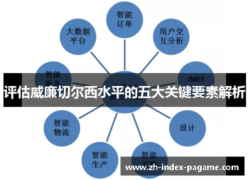 评估威廉切尔西水平的五大关键要素解析
