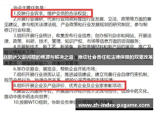 赵鹏谈欠薪问题的根源与解决之道：推动社会责任和法律保障的双重改革