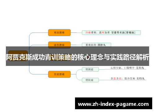 阿贾克斯成功青训策略的核心理念与实践路径解析 阿贾克斯成功青训策略的核心理念与实践路径解析